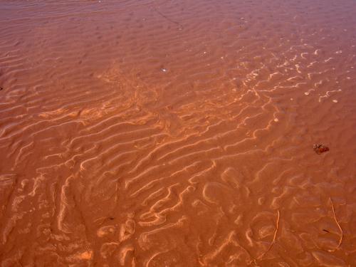 Sands of PEI