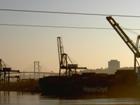 Morning, cranes in Halifax harbor