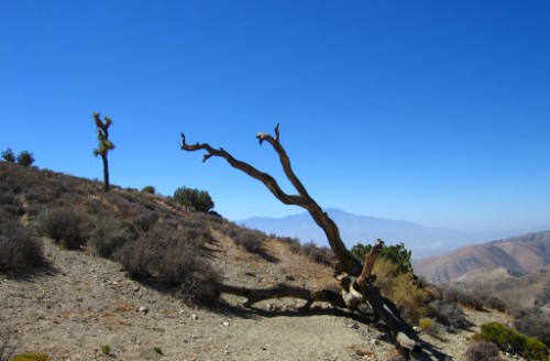 Silhouettes at lookout