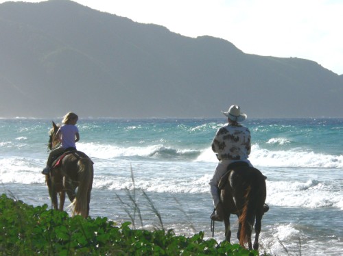 Cane Bay horseback