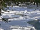 Tracks in the snow