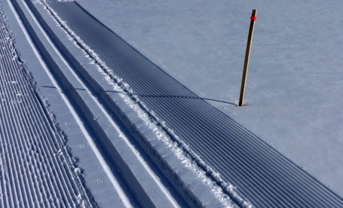 Tracks in the Snow, part 2.