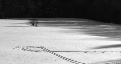 Snow Tracks