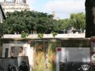 Posters for Sale on the Seine