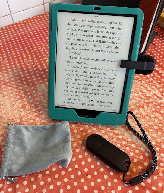 Kindle Page Turner